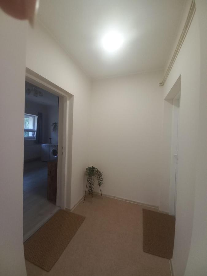 Kod Velikih Tuja Apartment Melenci Luaran gambar